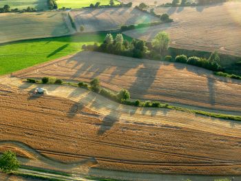 Luftbild Claas Lexion bei Getreideernte in Neukirchen